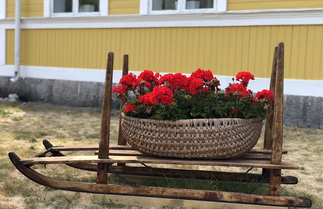 Hedenstugan B&B Hotel-1